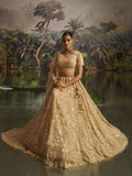 Cream Soft Net Designer Wedding Lehenga Choli