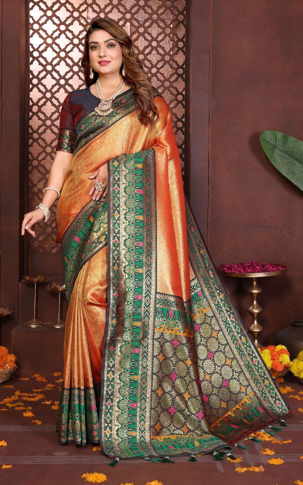 Woman wearing a traditional saree with a decorative background