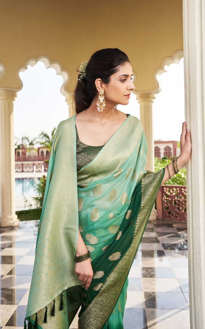 Woman wearing a green saree with a blurred background